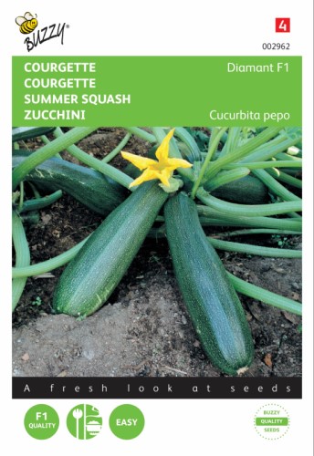 Courgette Diamant F1 Seeds